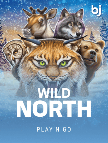 Wild North